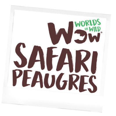 Safari de Peaugres