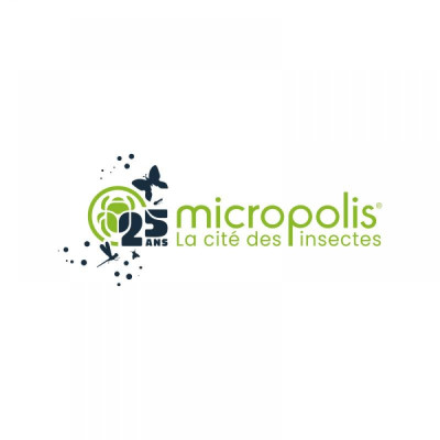 Micropolis